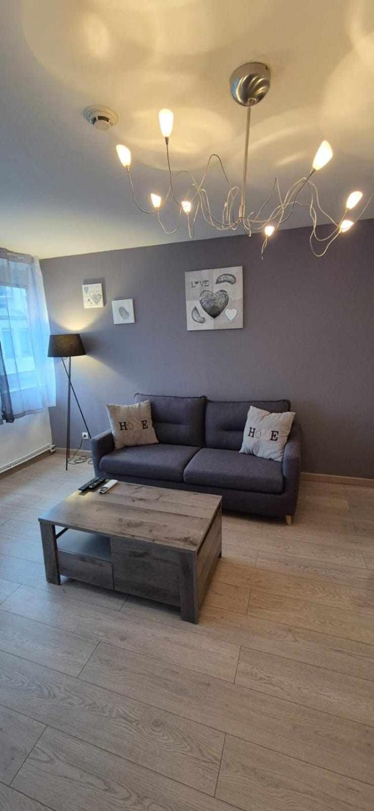 Nouveau !! Appartement Confortable Totalement Renove Avec Parking Gratuit - Hypercentre De Nancy Exterior photo